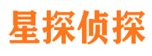 尖山市私家侦探